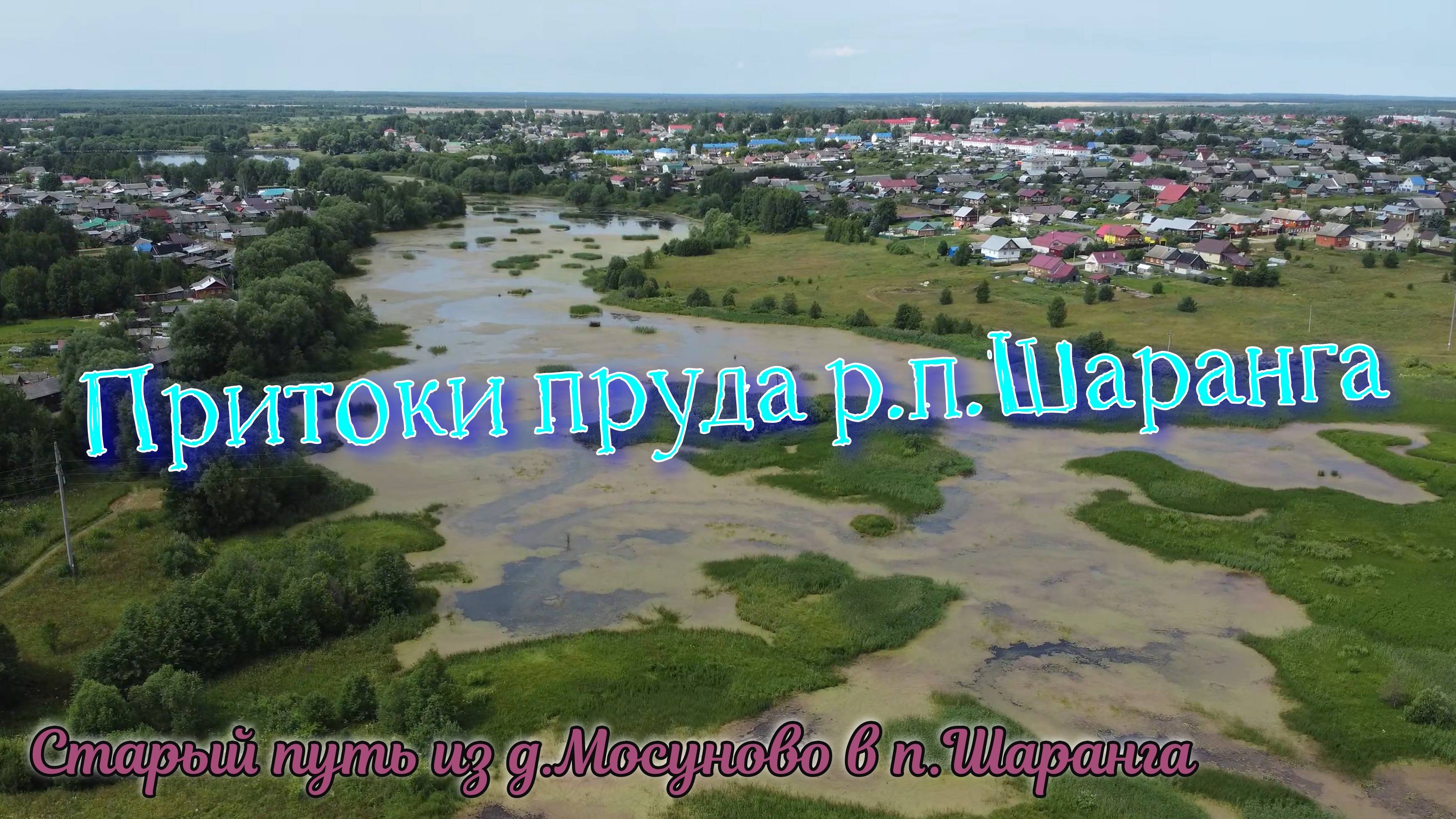 Притоки пруда р.п.Шаранга. Старый путь из д.Мосуново в п.Шаранга.