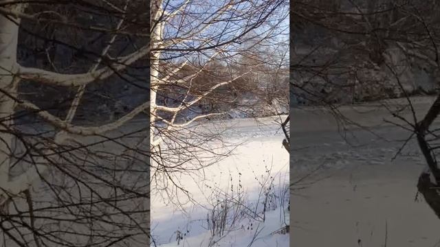 на озере