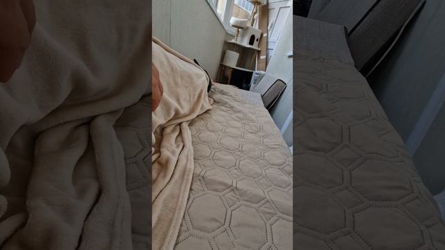 VID-20241128-WA0032.mp4