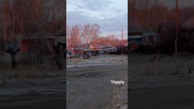 1007100152.mp4