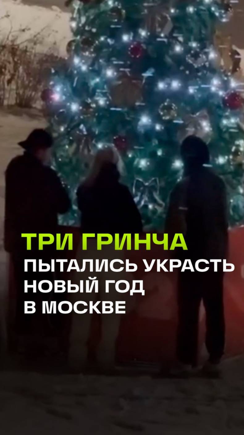 Три Гринча хотели украсть новогоднее настроение у жителей ЖК Марьино град