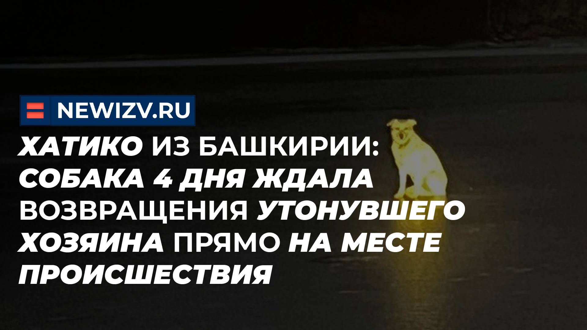 Хатико из Башкирии: собака 4 дня ждала возвращения утонувшего хозяина прямо на месте происшествия