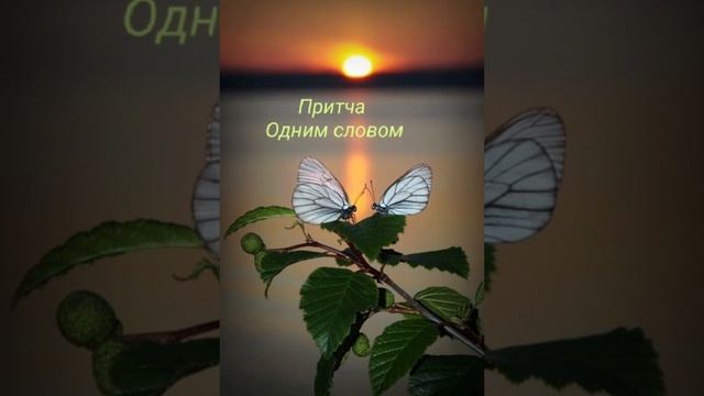 Ответы на твои вопросы 💕