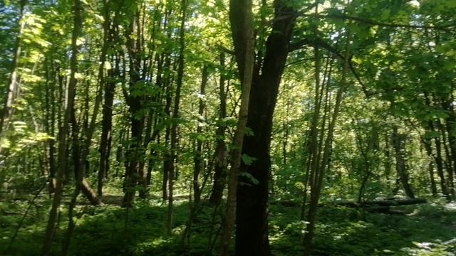 VID_20240518_155136