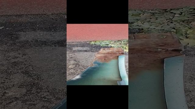 VID_20241126_140835.mp4