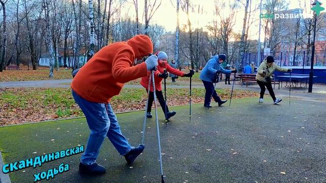 Приглашаем в секцию скандинавской ходьбы в рамках программы "Московское долголетие"!