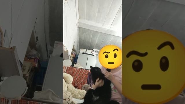 сори что не было видео🎀