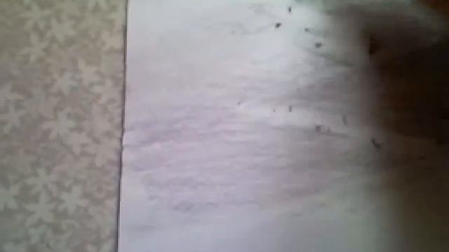 Видео-ответ по пейзажу.mp4