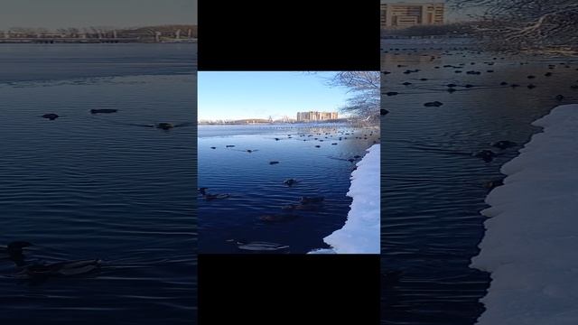 зима, дети прогулка, мороз, горка