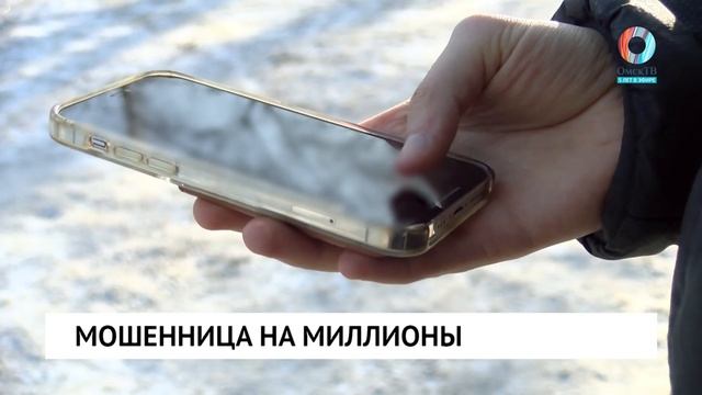 Мошенница на миллионы