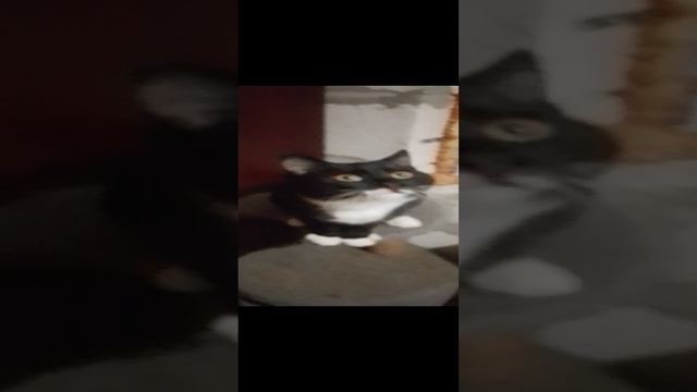 1000007402.mp4