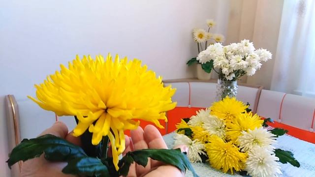 Дорогих женщин поздравляю!!!