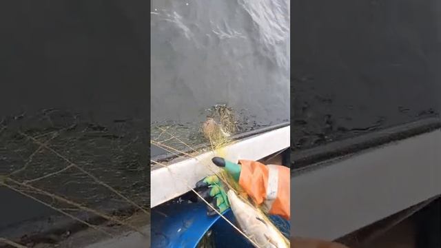 1000043942.mp4