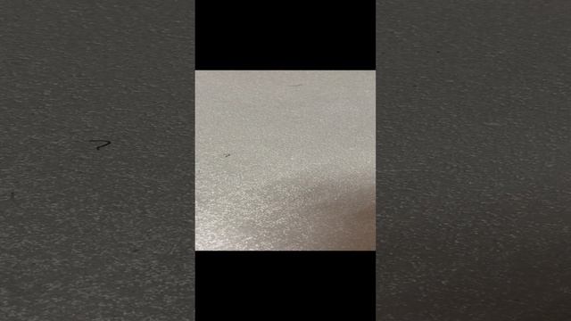29-11-2024