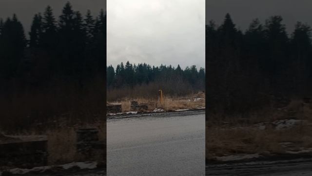солом ш конец...