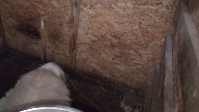 Делаем зону для хранения в доме/ убрали уток/ Подставной козёл