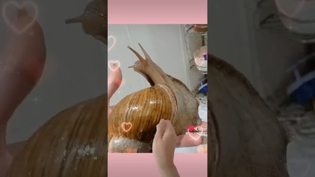 1000026731.mp4