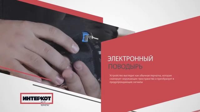 Электронный поводырь