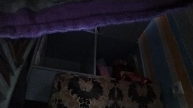 VID_20241129_132328.mp4