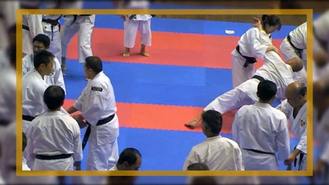 Shorinji Kempo, hiji nuki yori mae tembin, katate yori nuki, Sensei Kawashima.  少林寺拳法. 武道少林寺拳法