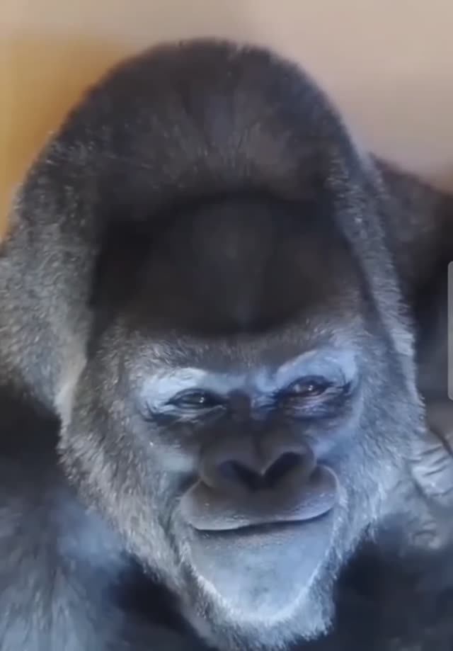 Какое небо голубое... 😁😂🔥