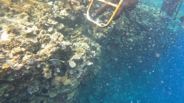 Египет 🇪🇬 аэропорт, заселение, территория. Отель DREAMS VACATION RESORT SHARM EL SHEIKH 4* Часть 1