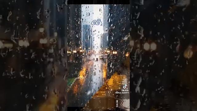 Прощание осени