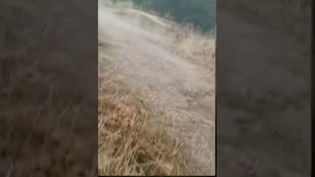 Этот туман выглядит очень  необычно.