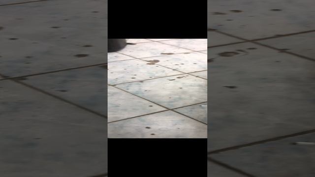 29-11-2024