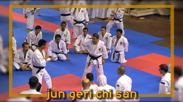 Shorinji Kempo, harai uke chi ni, jun geri chi san. Sensei Kawashima.  少林寺拳法. 武道少林寺拳法