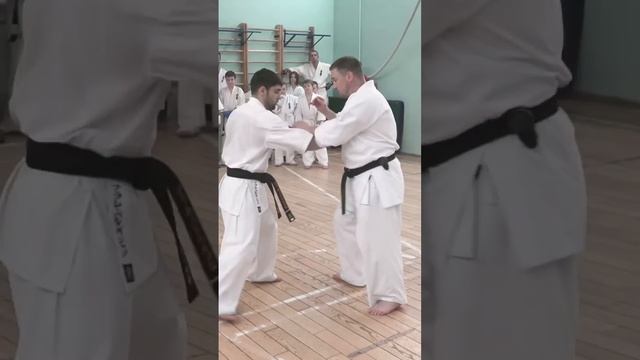 Кёкусинкай / Сихан Алексей Горохов / Сборы / Центр Поларбудо / Мурманск / 2017 г. (2)