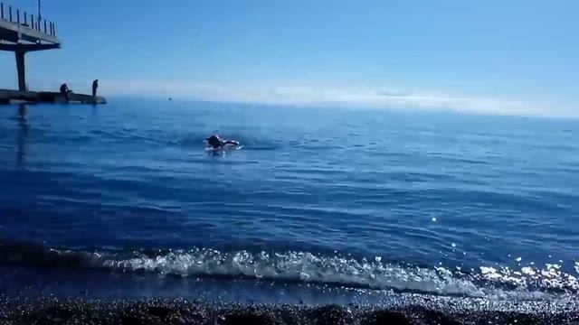 СЕДЬМОЙ МЕСЯЦ ЛЕТА. ПУТЕШЕСТВИЯ ПО СОЧИ. 2024.11.27.