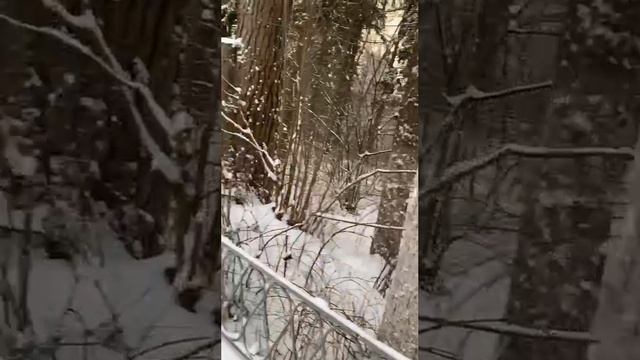 Полное видео на канале VLOG-25-11-23.Москва.❄️❄️❄️Добрые люди живут дольше.🙂🙂🙂Будьте добрее❄️❄️❄️