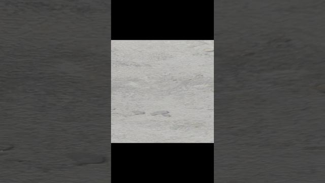 1000006316.mp4