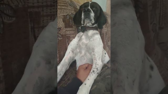Потеряшка, которая теперь в нашей команде