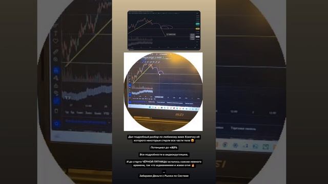 Подробный разбор по Хомячку