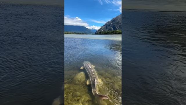 На рыбалку захотелось...