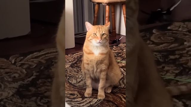с бабулей лучше не связываться