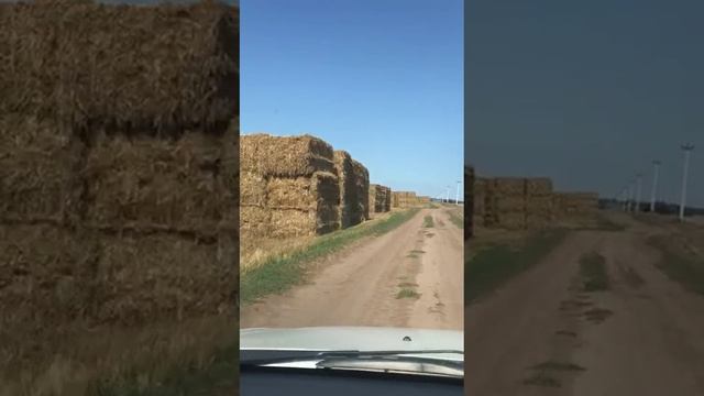 Пшеничная солома