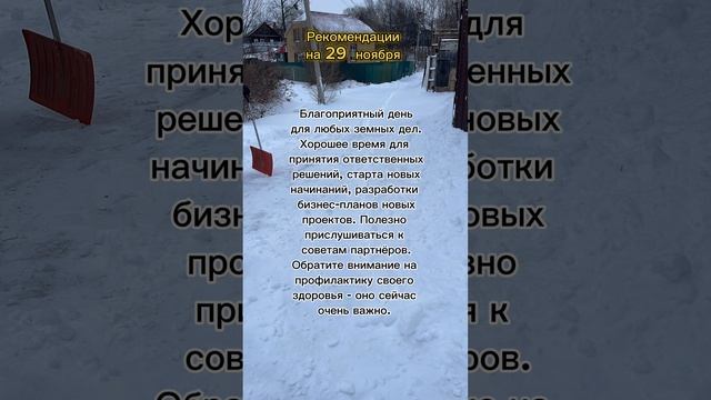 Гороскоп на 29 ноября. #гороскоп #рекомендации