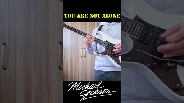 Michael Jackson-You Are Not Alone(Cover by VL)
