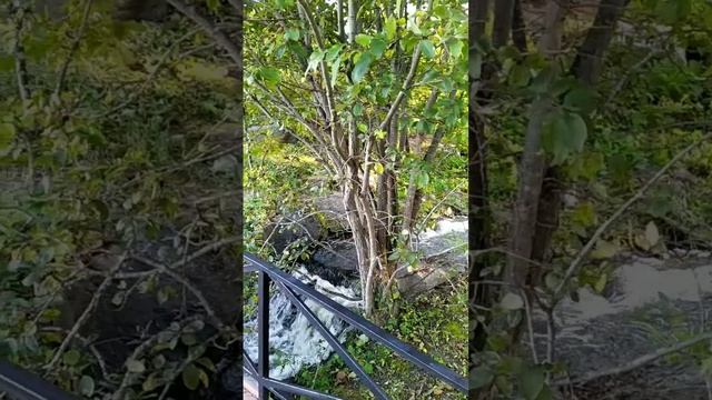 Наверху водопада. Русский остров. ДВФУ.