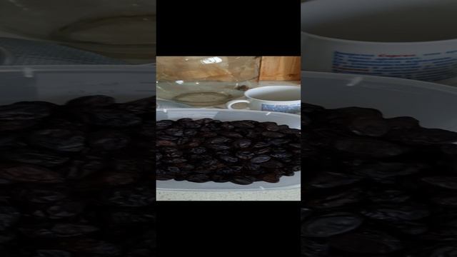Виноград Кишмиш Юпитер