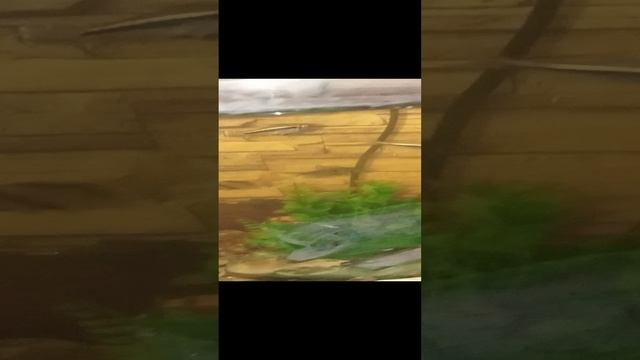 Ры буль буль буль Ры ры