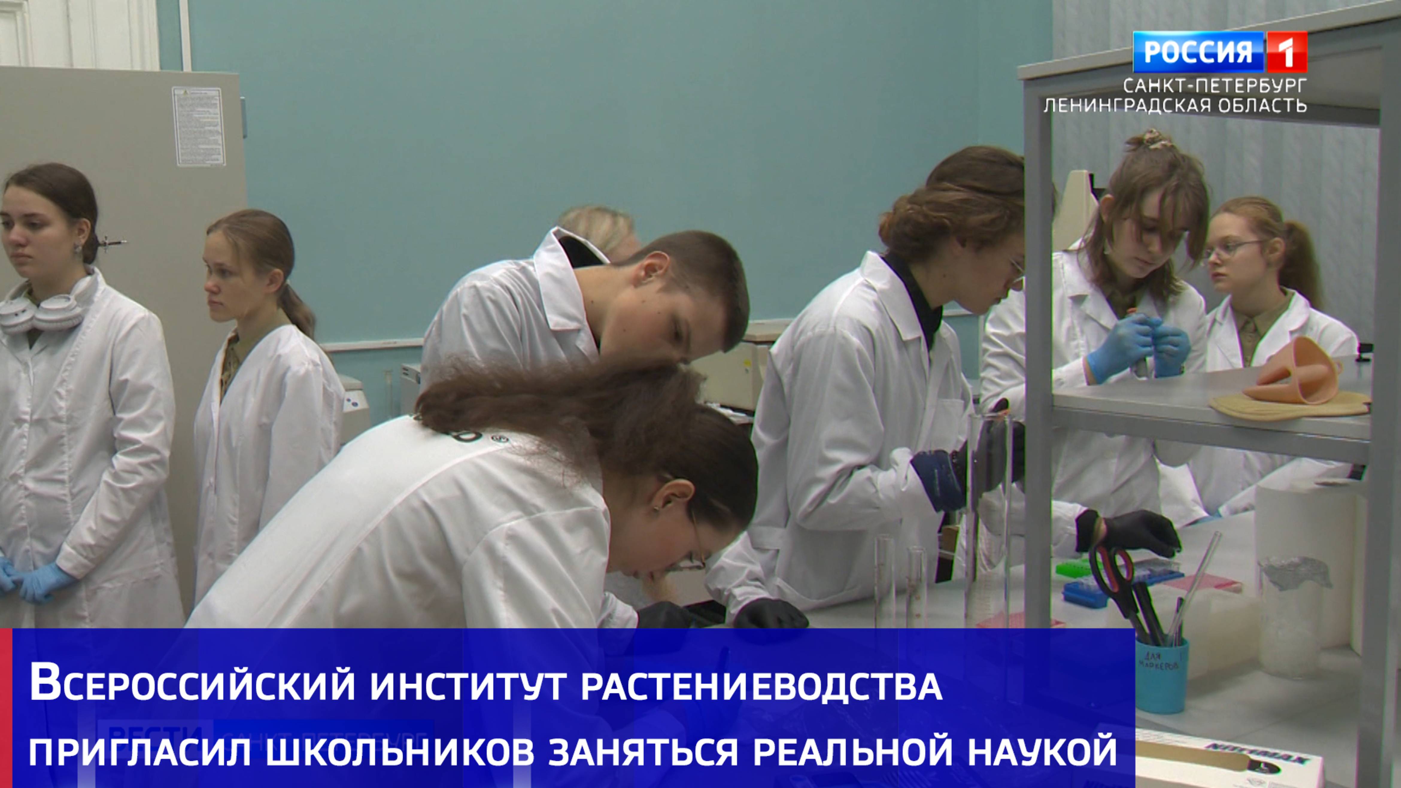 Всероссийский институт растениеводства пригласил школьников заняться реальной наукой