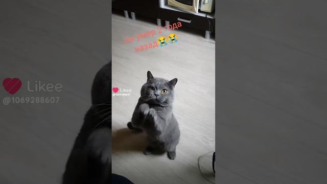 1000004741.mp4