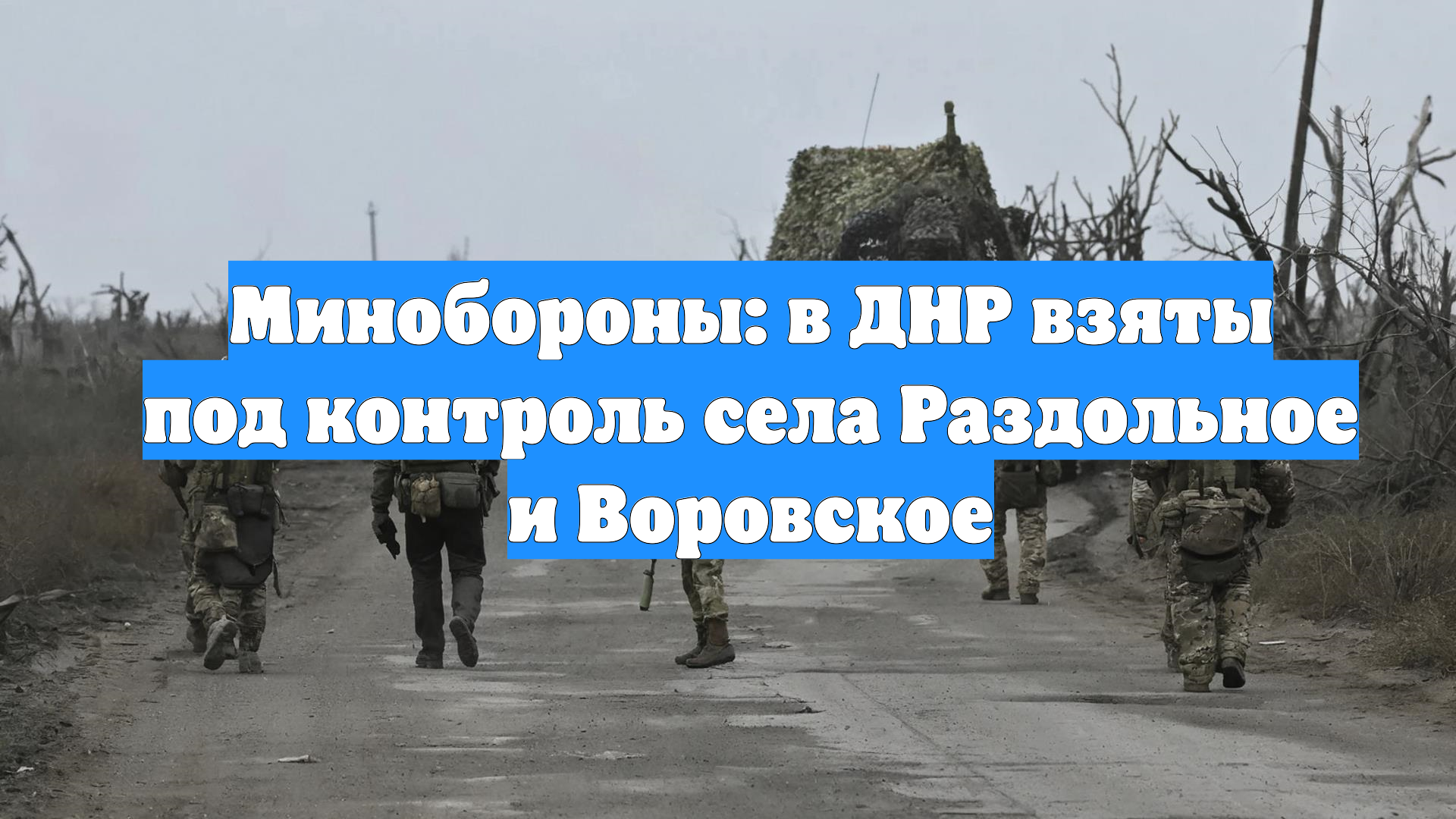 Минобороны: в ДНР взяты под контроль села Раздольное и Воровское