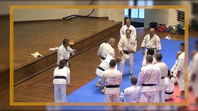 Secret techniques Juji Gote, Nuki, Shorinji Kempo. Sensei Yamasaki, Kawashima. 少林寺拳法. 武道少林寺拳法