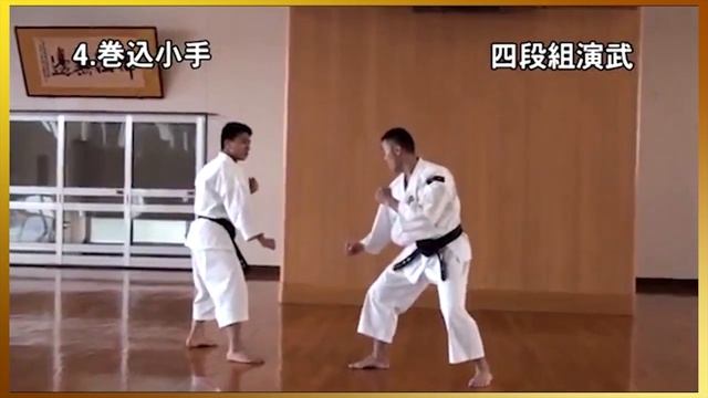 4 Dan kumi-embu Shorinji Kempo. Demonstrations techniques, goho, juho. 少林寺拳法