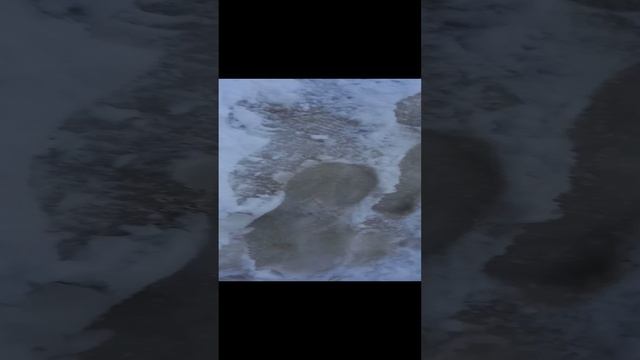 2-ой день снега